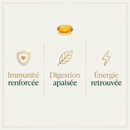Sévéa® Huile d'Origan — Softgels Immunité & Santé Intestinale